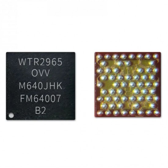 WTR 2965 Original Network IC