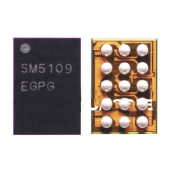 SM5109 LCD DISPLAY IC