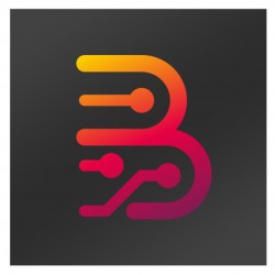 BORNEO SCHEMATICS HARDWARE TOOL 1 USER FOR 12 MONTHS